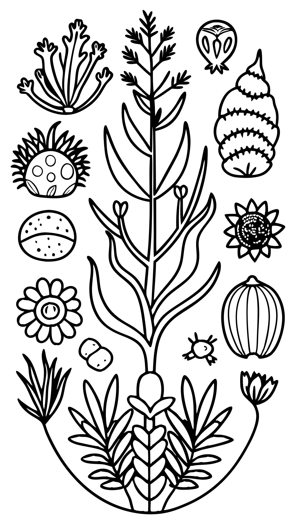 coloriages de botanique